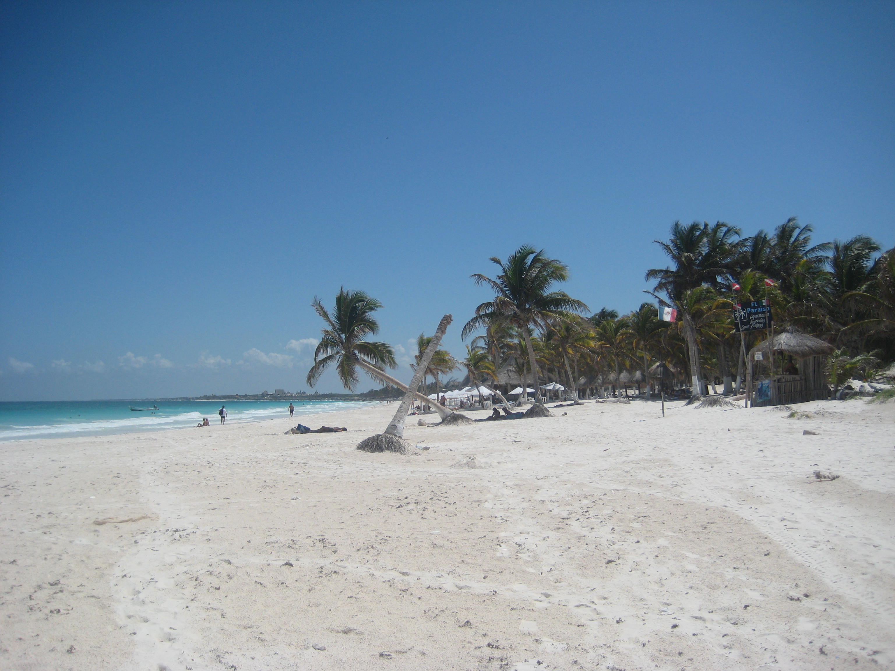 hopskipdive playa el paraiso tulum mexico
