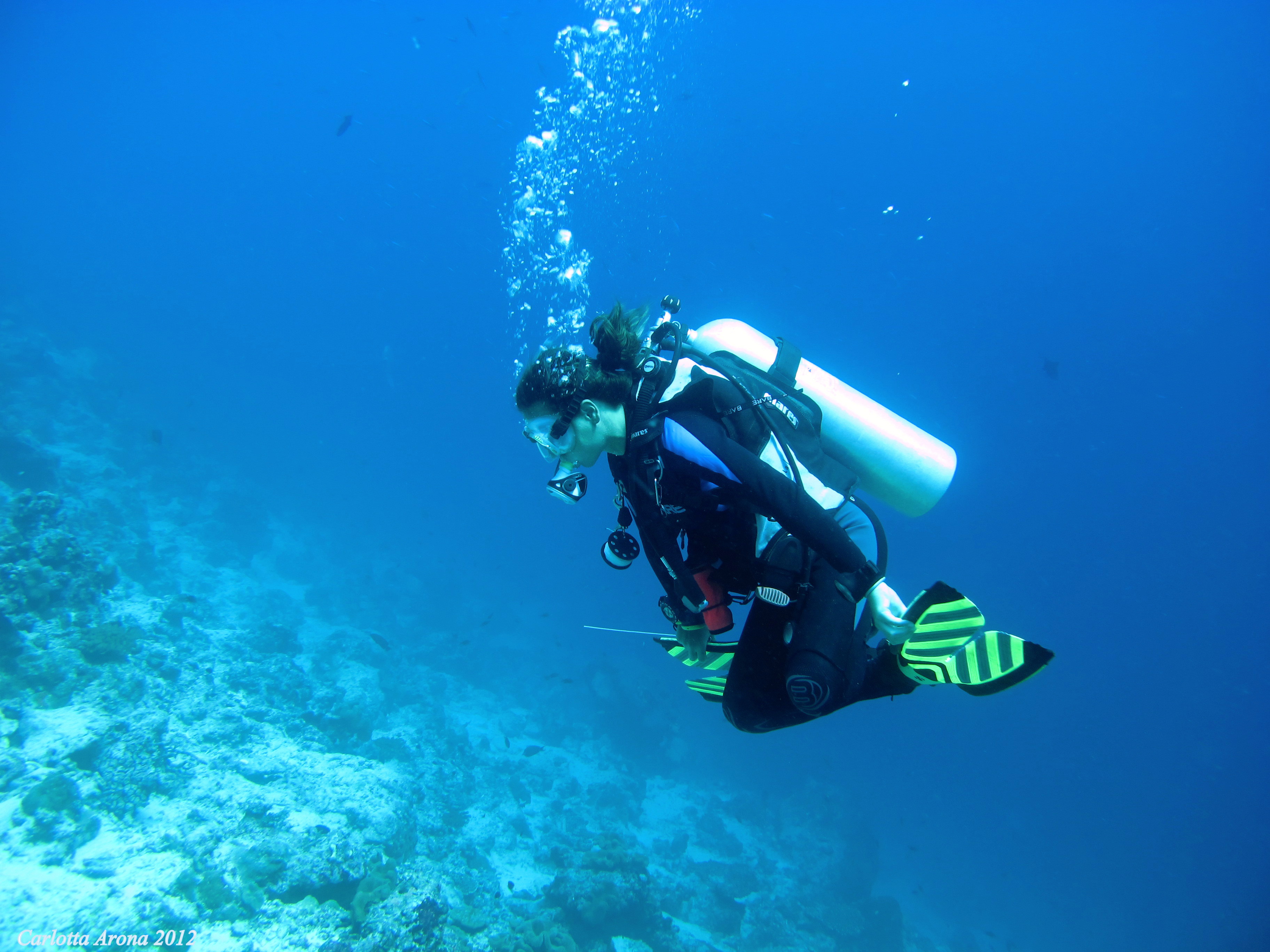 Diving in Pulau Weh