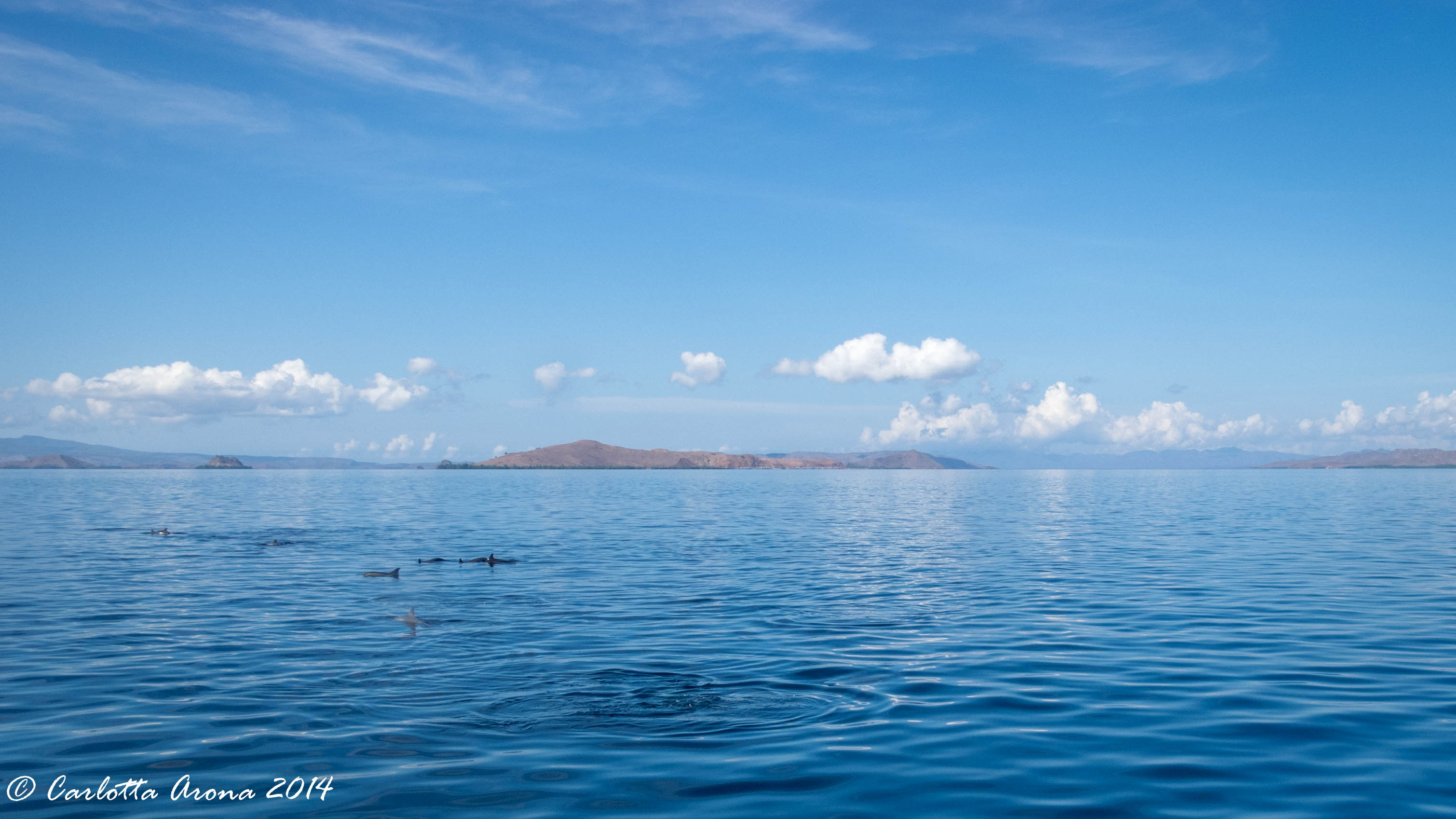 Komodo, Scuba Diving