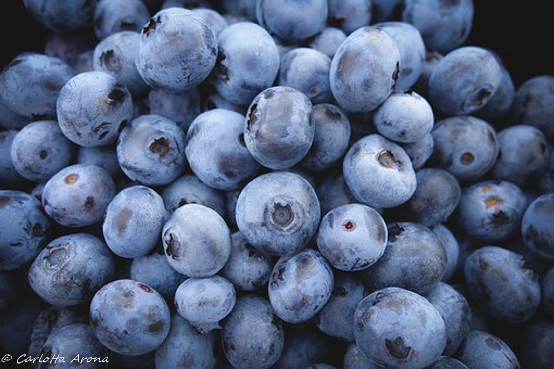 Blueberry Smoothie Recipe Without Yogurt