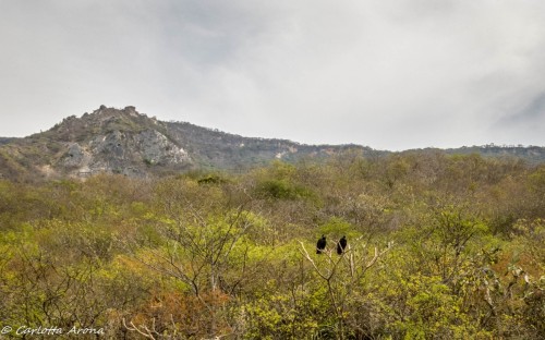 img 4045