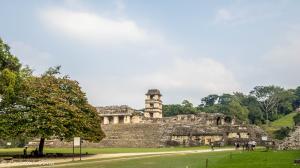 img 4319