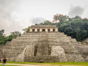 img 4321
